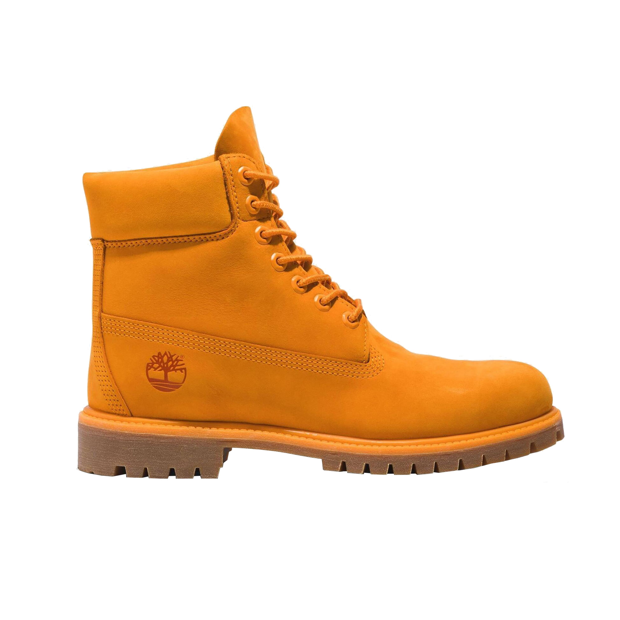 Zapatos de Hombre 6In Prem Bt Wp Md AM