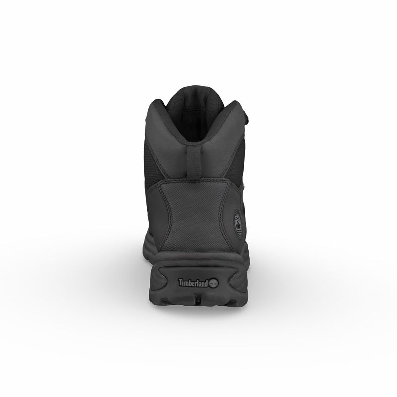 ZTBL.18193001R_2